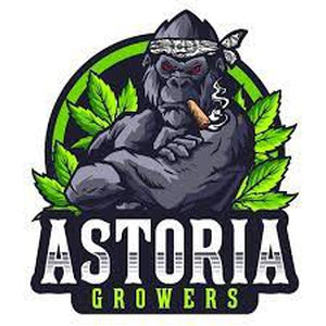 Astoria Growers' Prerolls